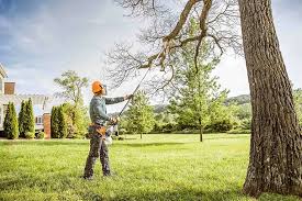 Leaf Removal in Fort Stockton, TX